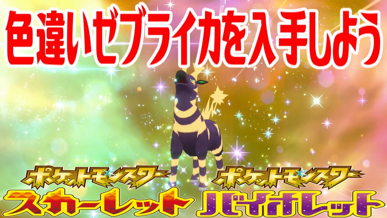【ポケモンSV】色違いゼブライカを入手しよう 進化入手【ポケットモンスター スカーレット・バイオレット ゼロの秘宝 藍の円盤】Pocket Monsters