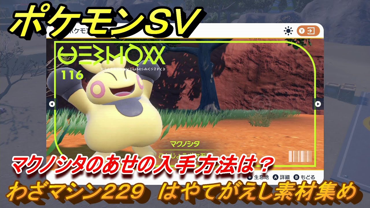 ポケモンＳＶ　わざマシン２２９　はやてがえし素材集め　マクノシタのあせの入手方法は？　＃３３１　【DLCゼロの秘宝　碧の仮面・藍の円盤】