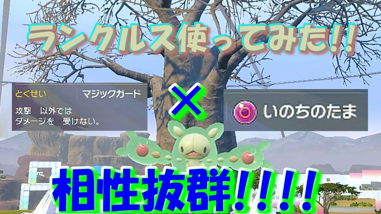 【ポケモンSV】ランクルスの特性とアイテムの相性がよくて最強すぎる!!!!
