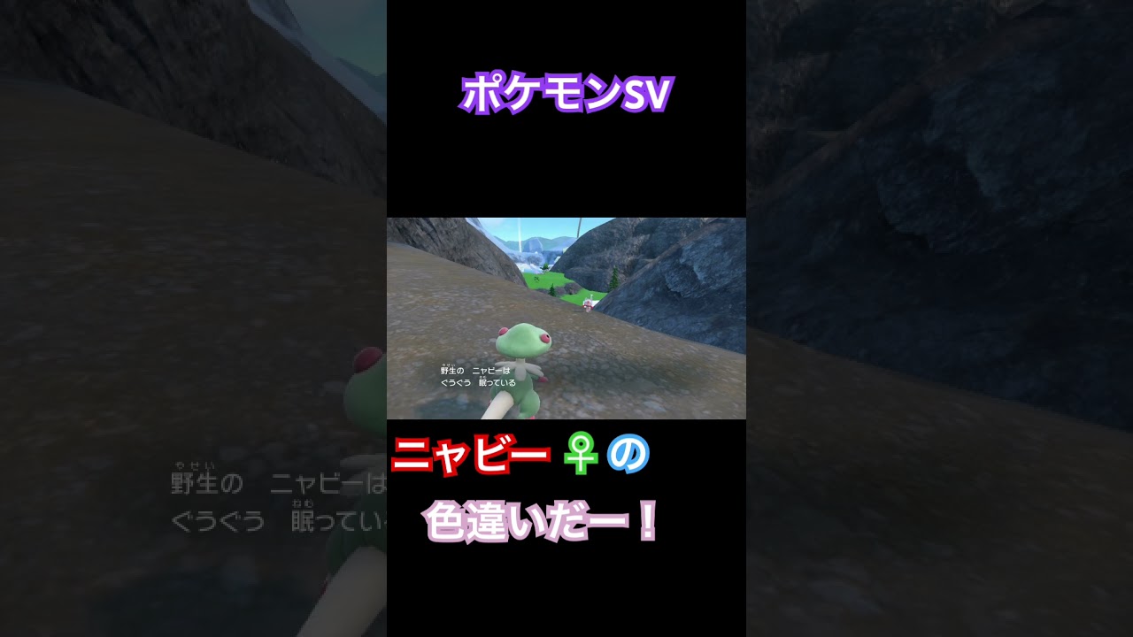【ポケモンSV】ニャビー♀の色違い！ #ポケモン #ポケモンsv #ポケモンsv  #shorts #pokemon
