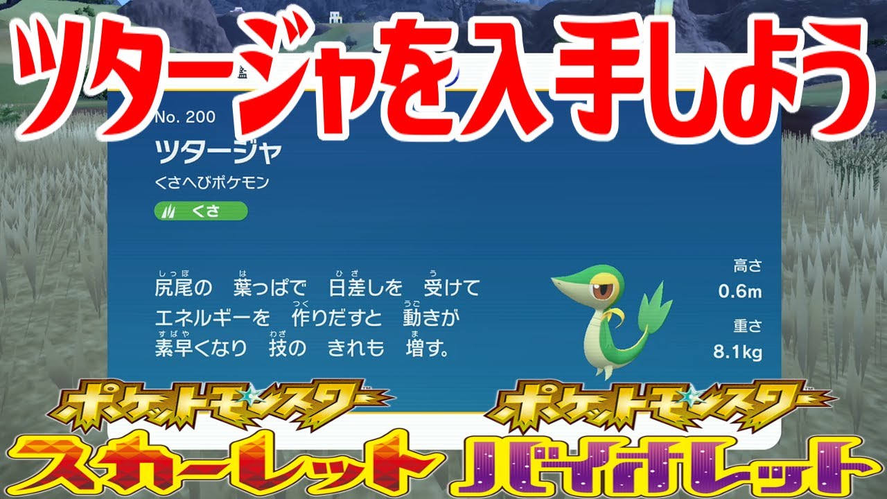 【ポケモンSV】ツタージャを入手しよう【ポケットモンスター スカーレット・バイオレット ゼロの秘宝 藍の円盤】Pocket Monsters