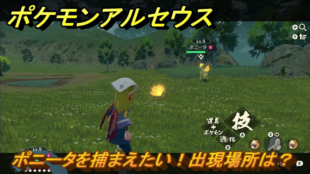 ポケモンアルセウス　ポニータを捕まえたい！出現場所は？　＃１８　【Pokémon LEGENDS アルセウス】