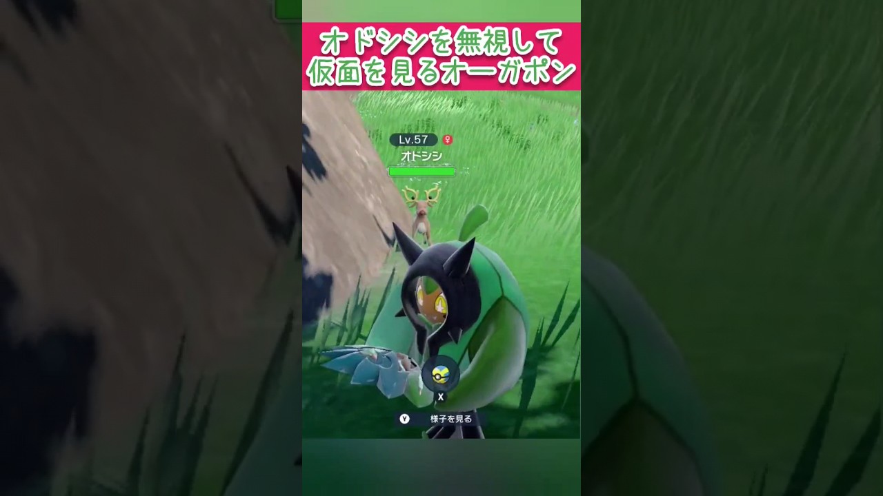 オドシシを無視して仮面を見るオーガポン #shorts #ポケモン #pokemon #ポケモンsv