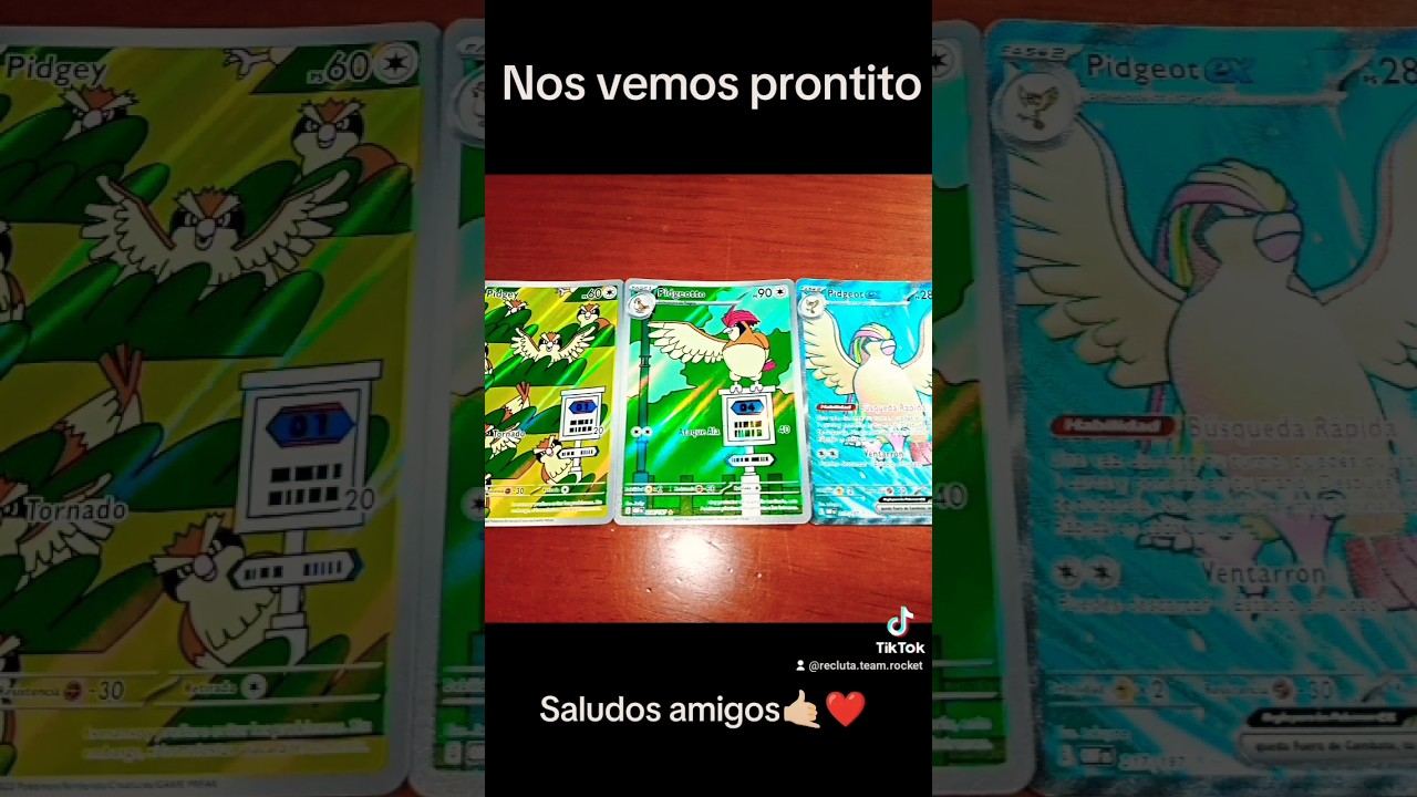 POKÉMON!! 💕Familia Pidgeot💕.  #pokemon #pidgey #pidgeotto #pidgeot #cartaspokemon #tcgpokemon #tcg