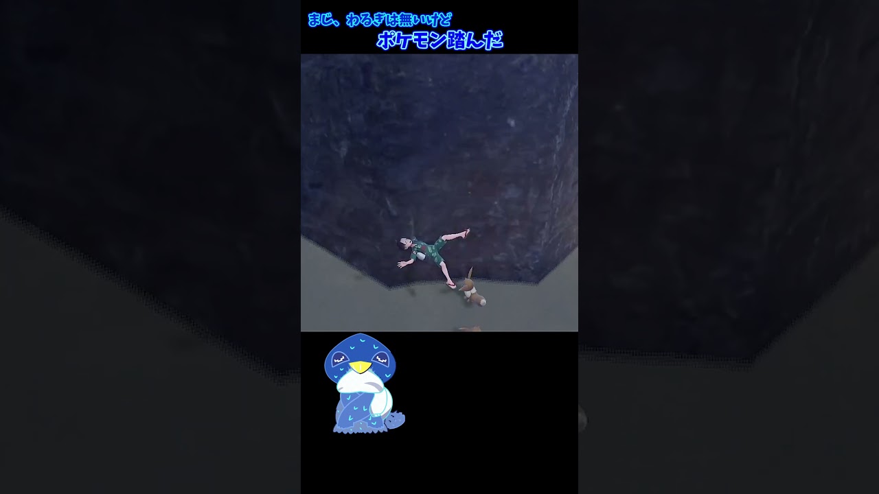 #ポケモン　＃イーブイ　まさか下にいるとは、すまんね