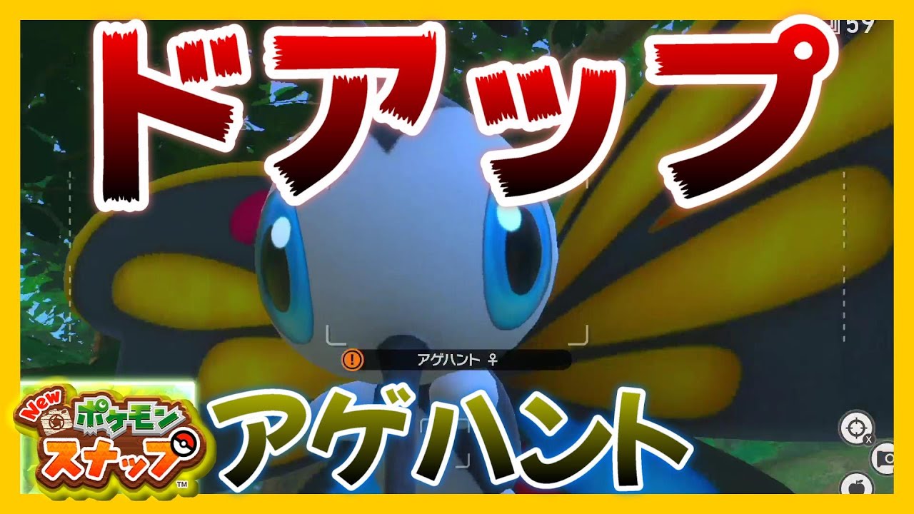 【ポケスナ】アゲハント近づきすぎ！？ミッケジャングルを朝から夜まで探索！【Newポケモンスナップ実況プレイ #6】