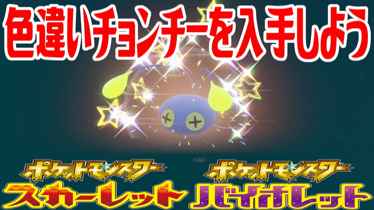 【ポケモンSV】色違いチョンチーを入手しよう【ポケットモンスター スカーレット・バイオレット ゼロの秘宝 藍の円盤】Pocket Monsters