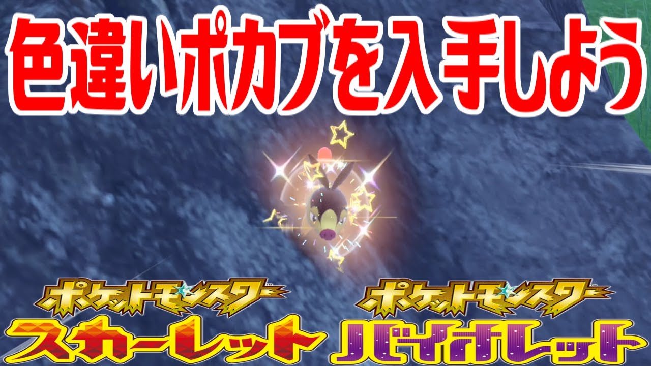 【ポケモンSV】色違いポカブを入手しよう【ポケットモンスター スカーレット・バイオレット ゼロの秘宝 藍の円盤】Pocket Monsters