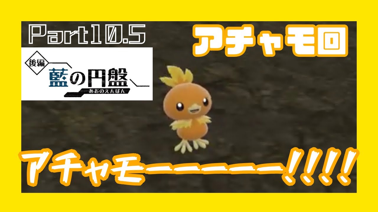 【ポケモンSV/藍の円盤】アチャモ！アチャモ！アチャモ！あｔｙ【part10.5】アチャモ大好き
