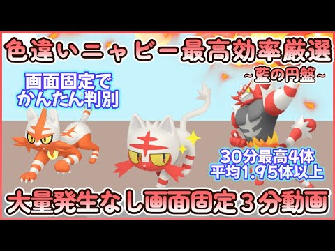藍の円盤 色違いニャビー最高効率画面固定３分まとめ 30分最高４体平均1.95体以上#ポケモンsv #最高効率 #色違い #ニャビー #ニャヒート #ガオガエン #画面固定 #大量発生なし #藍の円盤