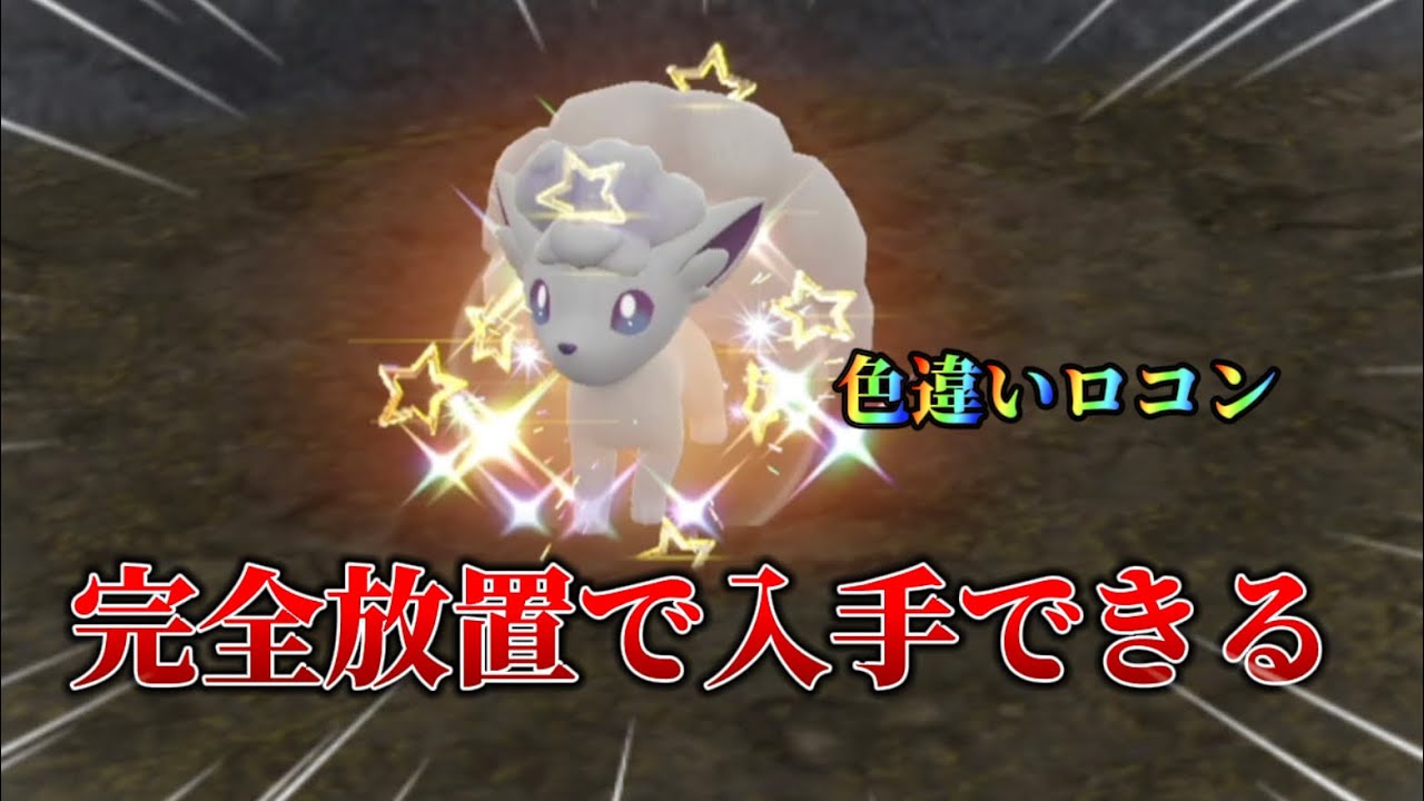 完全放置で色違いアローラロコン入手できます!!【#ポケモンsv 】【#藍の円盤 】
