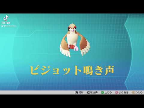 ピカブイ【図鑑NO018】ピジョット 鳴き声