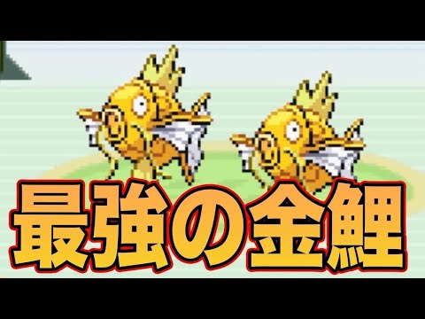 #23【改造ポケモン】レベル255のコイキングが強すぎる【モヤッシモンスター049】