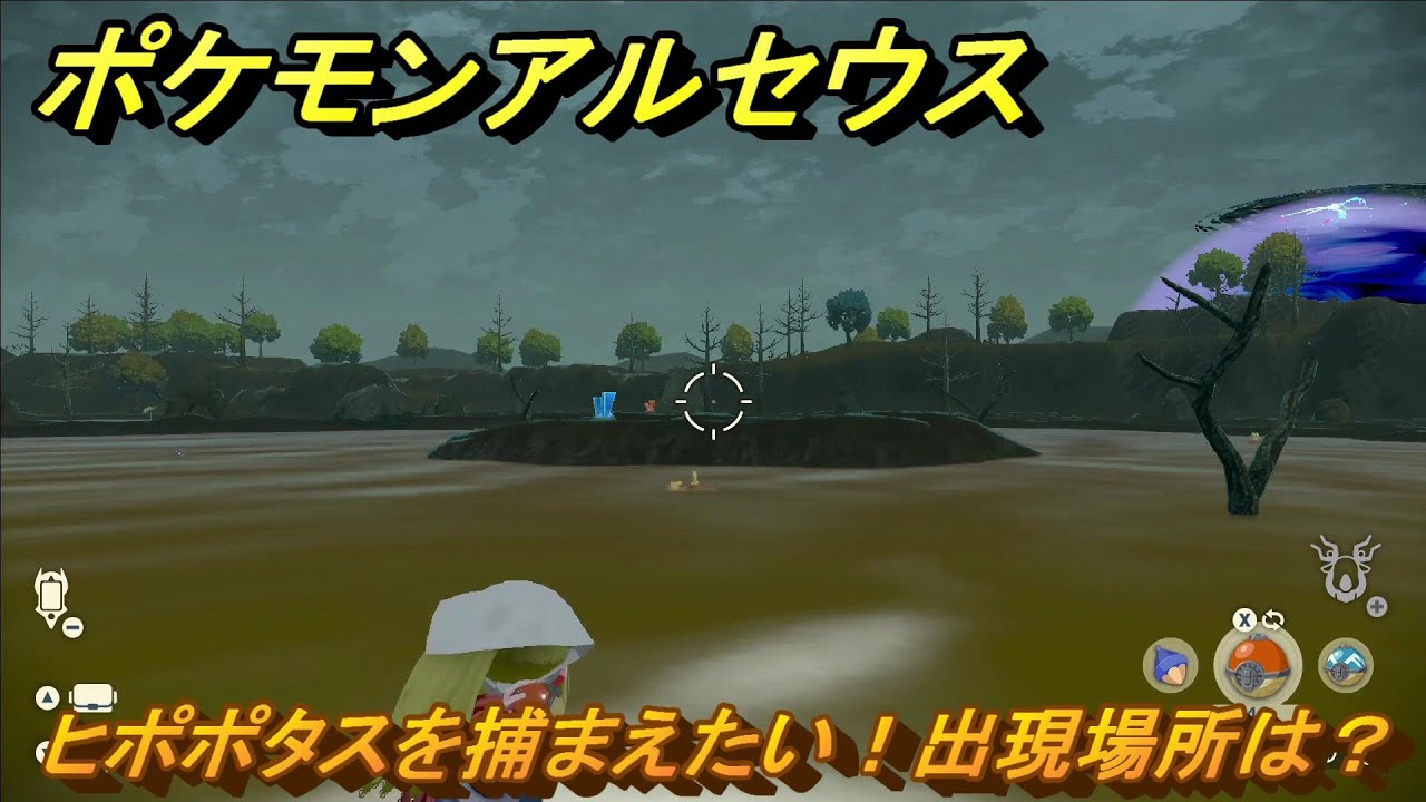 ポケモンアルセウス　ヒポポタスを捕まえたい！出現場所は？　＃６３　【Pokémon LEGENDS アルセウス】