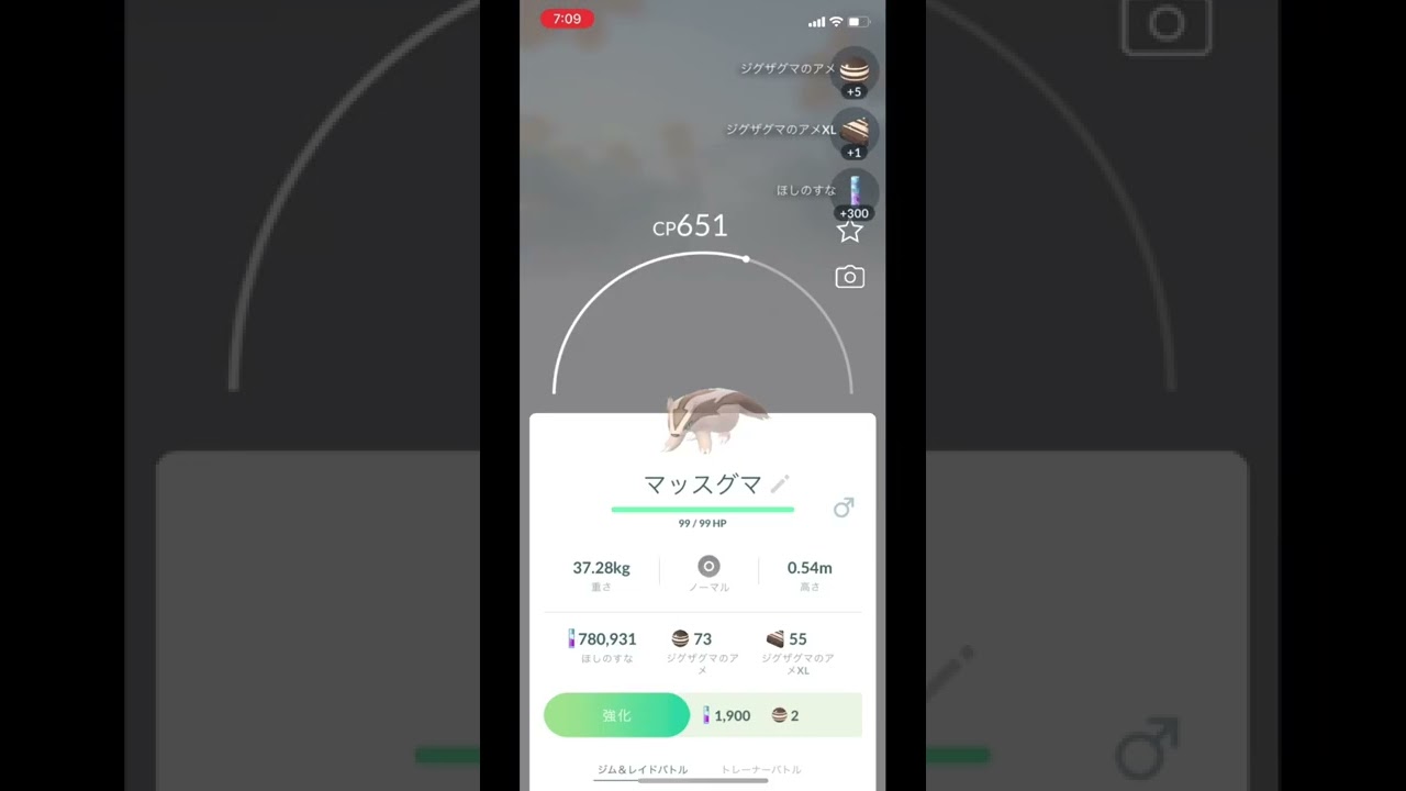 ポケモンGOでマッスグマをゲット！