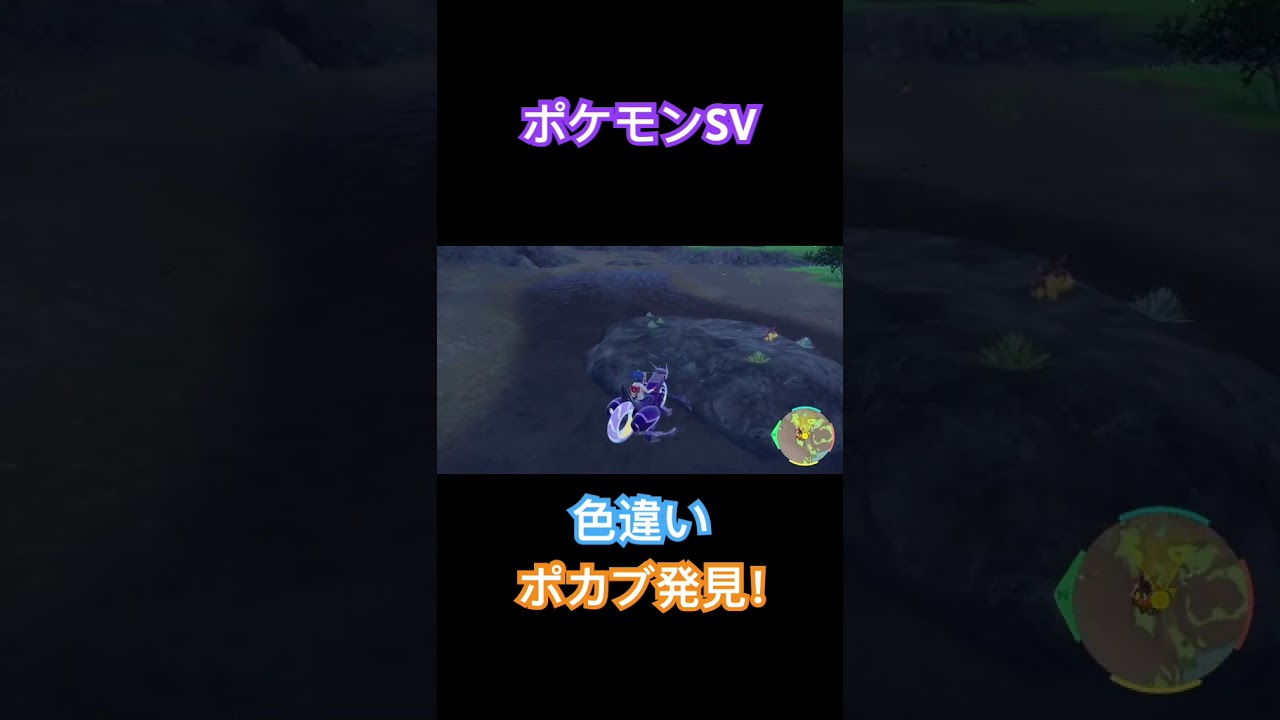 【ポケモンSV】色違いポカブ発見！ #ポケモン #ポケモンsv #pokemon #shorts