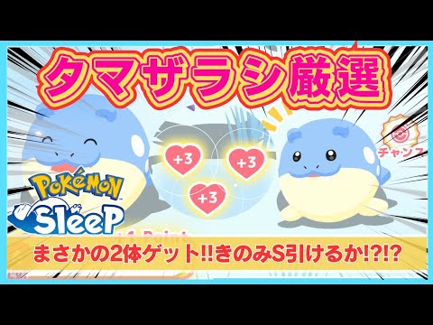【無課金】きのみSタマザラシを求めて2体捕獲！果たして個体値は！？＠ワカクサ本島【ポケモンスリープ】社畜OLの無課金ゲーム実況攻略記202312
