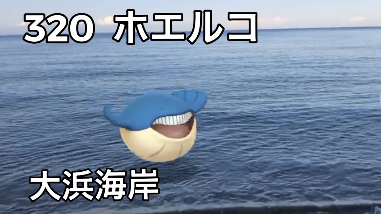 【ポケGO動くポケモンずかん】320ホエルコ｜Wailmer｜大浜海岸｜AR動画｜PoKeMoN GO AR