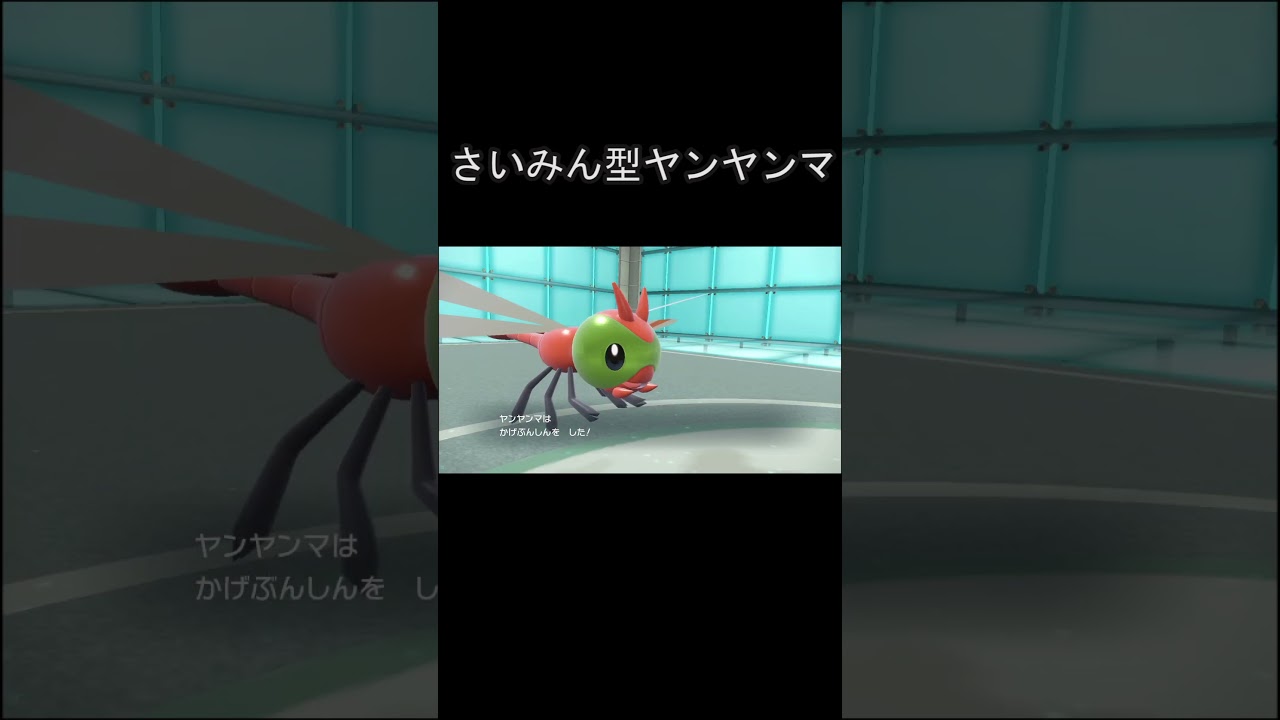 【ヤンヤンマ ポケモンSV対戦】広角レンズ・さいみん型　#shorts　#ヤンヤンマ #進化前 #ポケモン #ポケモンsv #ポケモン実況#ポケモン対戦#ポケモン対戦実況