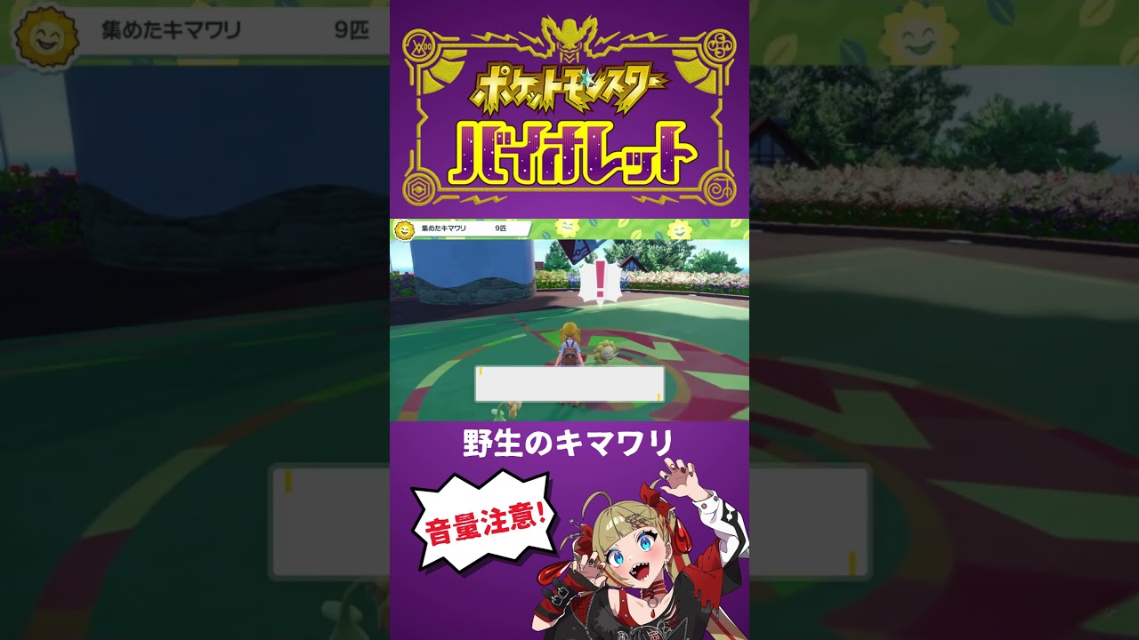 【ポケモンSV】野生のキマワリ