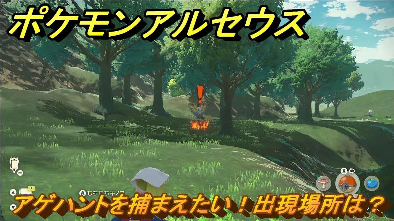 ポケモンアルセウス　アゲハントを捕まえたい！出現場所は？　＃４４　【Pokémon LEGENDS アルセウス】