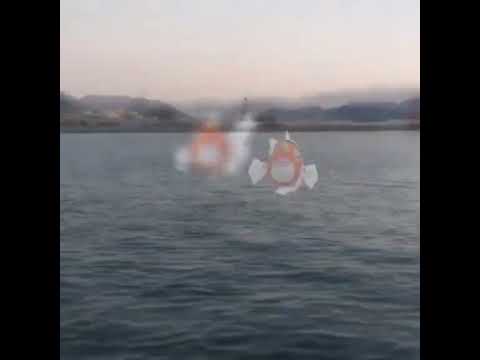 왕콘치 ( Seaking ) アズマオウ ( 金魚王 )