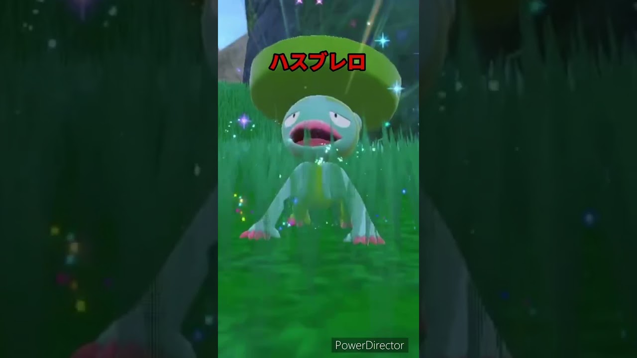 【ポケモンバイオレット】進化　ハスボー→ハスブレロ　#ポケモンバイオレット #ゲームリハビリ #shorts