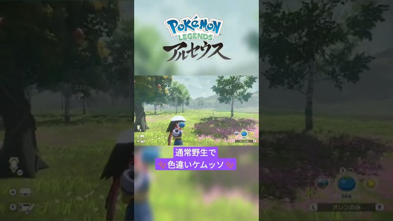 【色違い】Pokémon LEGENDS アルセウス『ケムッソ』二度目の通常野生にて色違い✨ #shorts