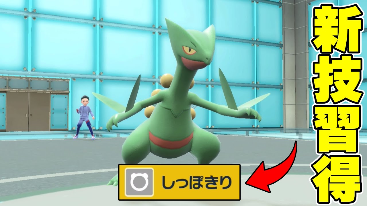 新技しっぽきりを覚えたジュカインを使ってみた結果...【ポケモンSV】
