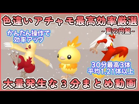 藍の円盤 色違いアチャモ最高効率 大量発生なし3分まとめ30分最高3体平均1.21体以上#ポケモンsv #最高効率 #色違い #アチャモ ＃ワカシャモ #バシャーモ #大量発生なし #藍の円盤