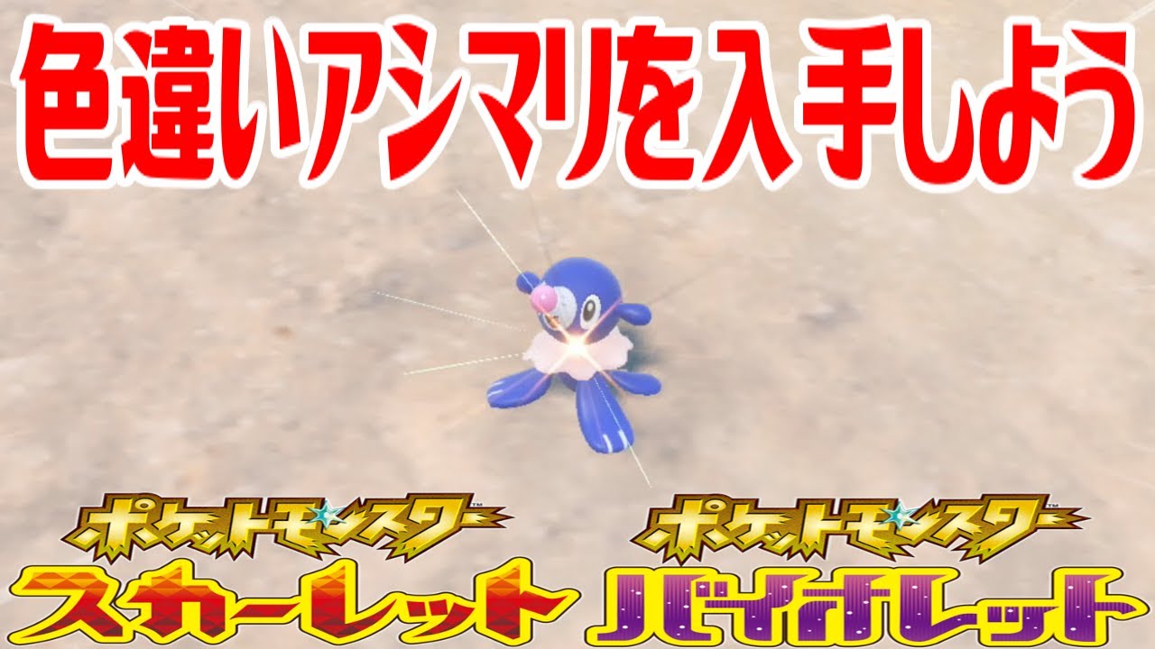 【ポケモンSV】色違いアシマリを入手しよう【ポケットモンスター スカーレット・バイオレット ゼロの秘宝 藍の円盤】Pocket Monsters
