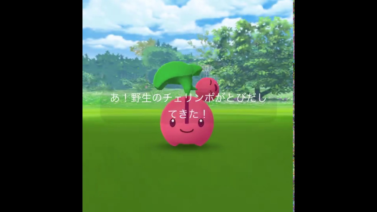 【ポケモンGO】野生のチェリンボに遭遇！