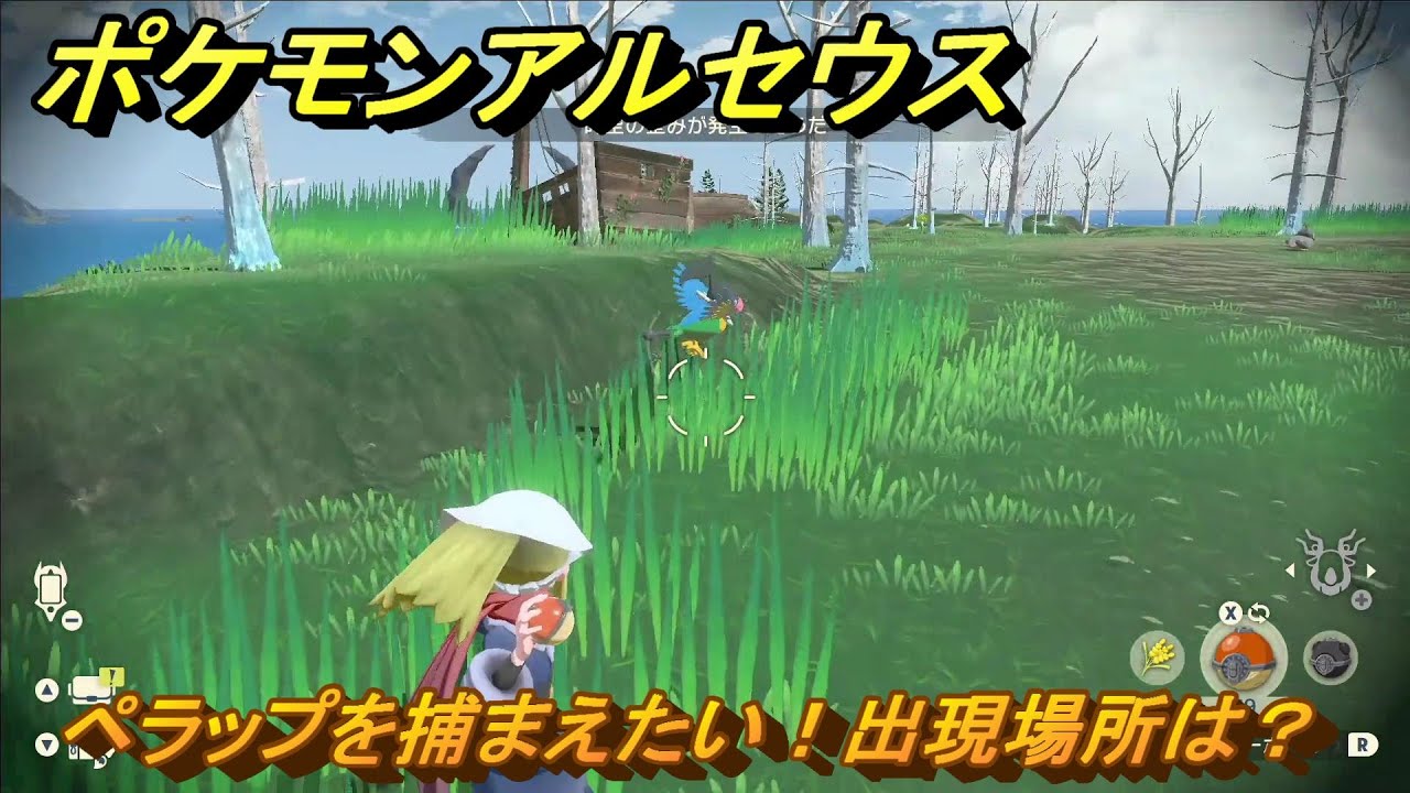 ポケモンアルセウス　ペラップを捕まえたい！出現場所は？　＃９０　【Pokémon LEGENDS アルセウス】