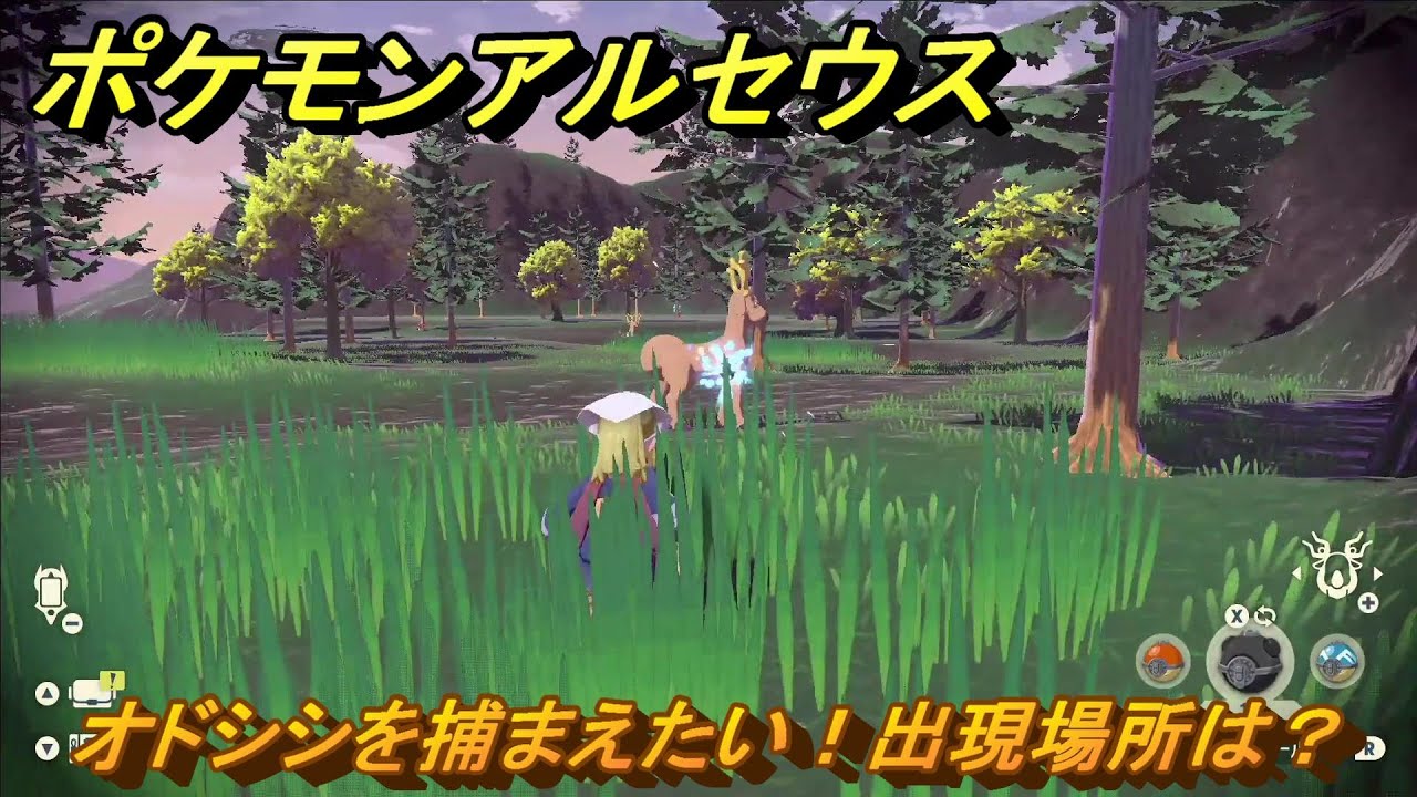 ポケモンアルセウス　オドシシを捕まえたい！出現場所は？　＃９８　【Pokémon LEGENDS アルセウス】