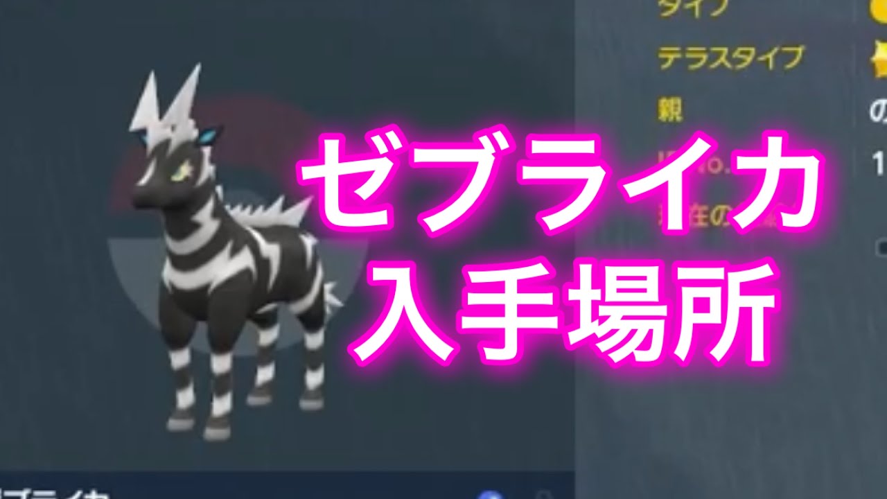 【ポケモンSV】【藍の円盤】ゼブライカ入手場所