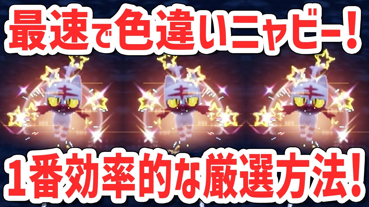 1番簡単にニャビーを厳選する方法！【 ポケモンsv ガオガエン 】
