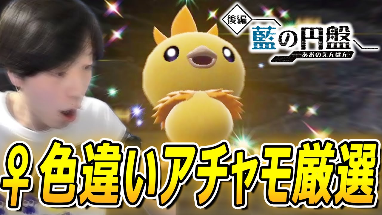 【ポケモンSV】スパイス確保→メスの証持ち色違いアチャモ厳選するぞぉぉ！！ /しろーん   #Pokémon #ポケモンSV