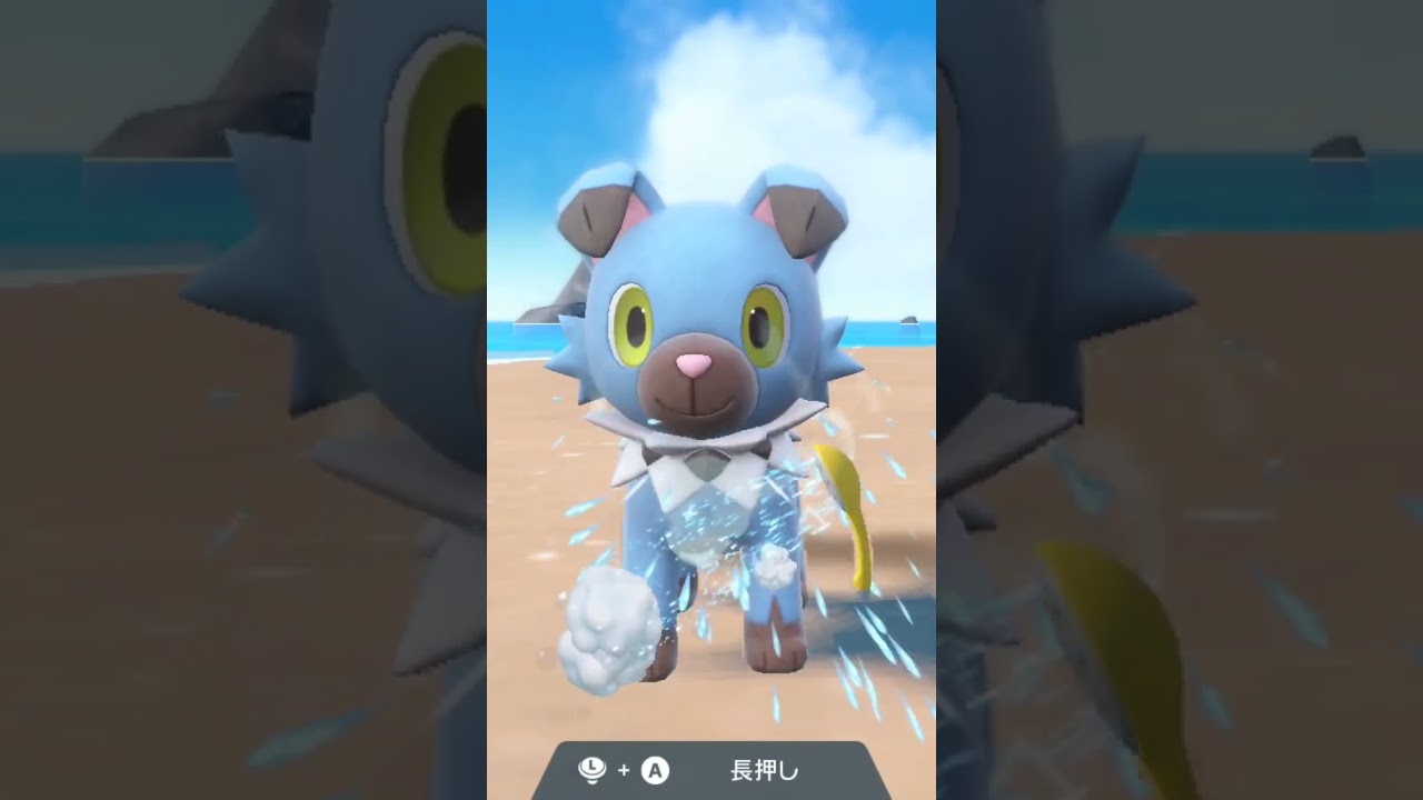 イワンコ Rockruff【ポケモンsv】