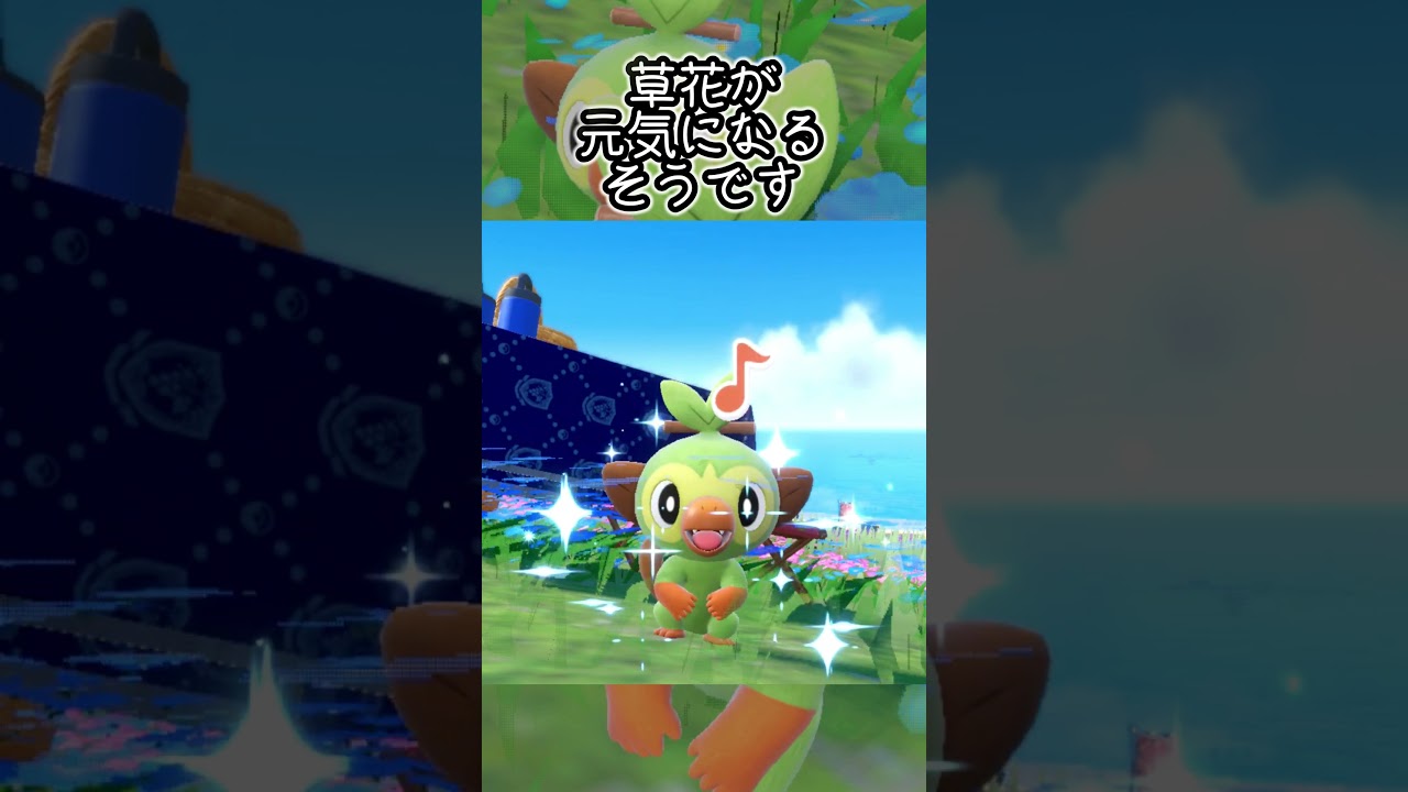 【疲れた人向け】サルノリ6匹とピクニック【ポケモンSV】#Shorts