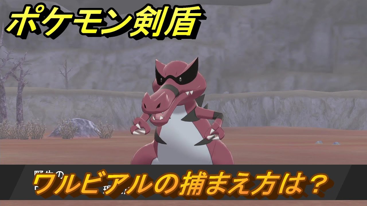 ポケモン剣盾　ワルビアルを捕まえる方法！オススメの場所は？天気は？ポケモン図鑑コンプへの道！　最新版【ポケモンソード・シールド】