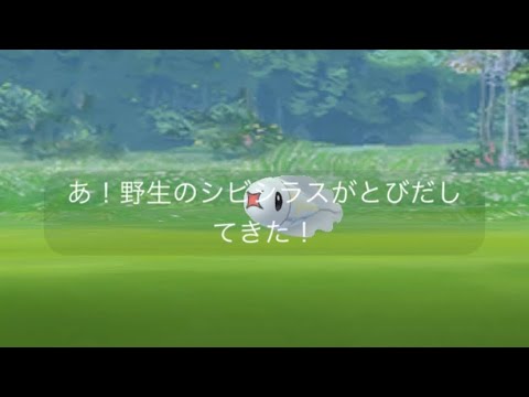 ポケモンgo 新実装！シビシラスゲットチャレンジ　小っさー