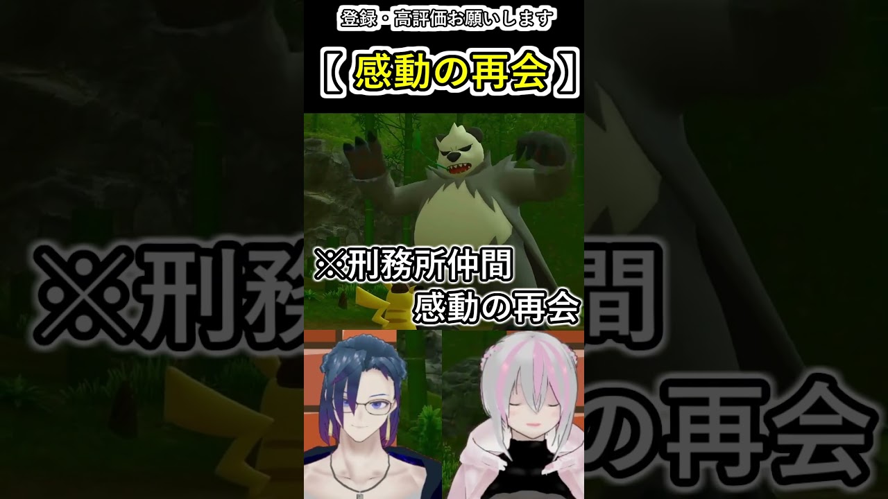 お会いしとうございました！ゴロンダのアニキと感動の再会!?【帰ってきた名探偵ピカチュウ】~Pangoro~ #vtuber  #名探偵ピカチュウ   #ゲーム実況 #gcd #ポケ夫婦