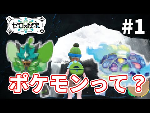 【ポケモンDLC】ポケモンの全てを忘れた男が『ゼロの秘宝』を探し出す