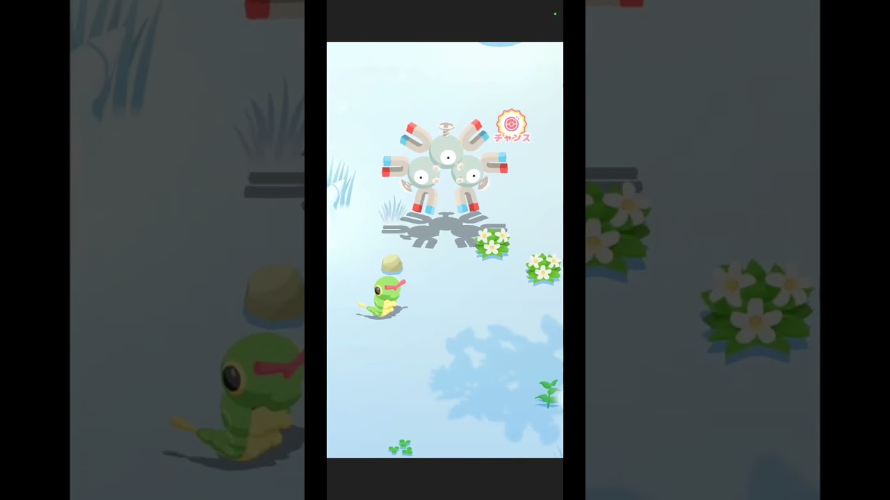 【起床編】ポケモンとすやすやタイム🔆🎁 百五十四睡目