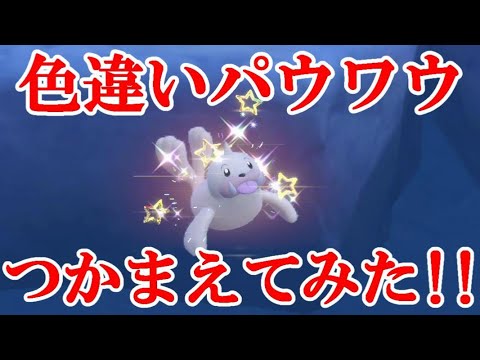 【ポケモンSV】色違いパウワウつかまえてみた！！