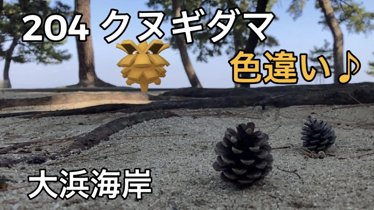 【ポケGO動くポケモンずかん】204 クヌギダマ｜Pineco｜ShinyPokémon ｜AR動画｜PoKeMoN GO AR【ポケモンGO】