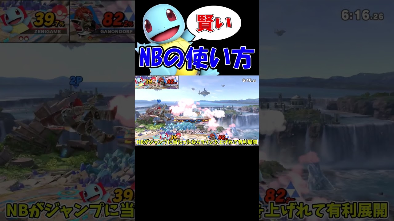 ゼニガメNBの賢い使い方