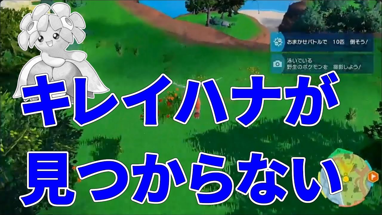 【ブルレク】キレイハナが見つからない【ポケモンSV】【藍の円盤】