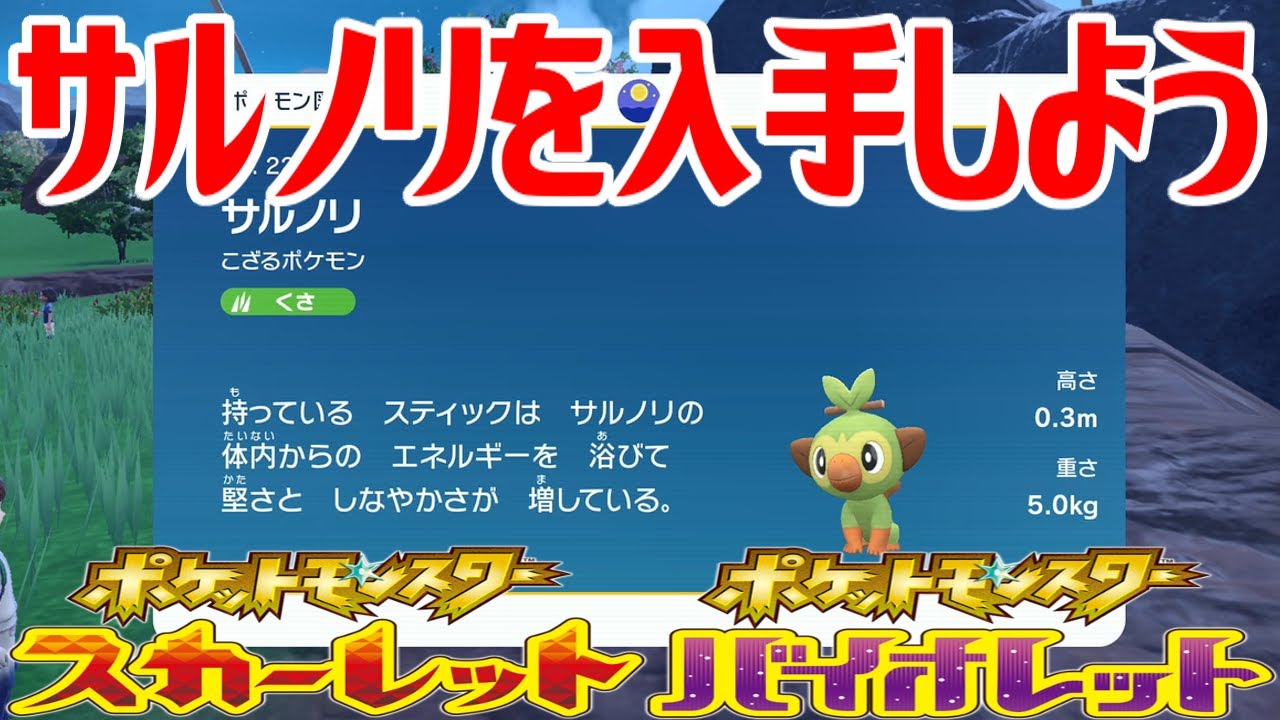 【ポケモンSV】サルノリを入手しよう【ポケットモンスター スカーレット・バイオレット ゼロの秘宝 藍の円盤】Pocket Monsters