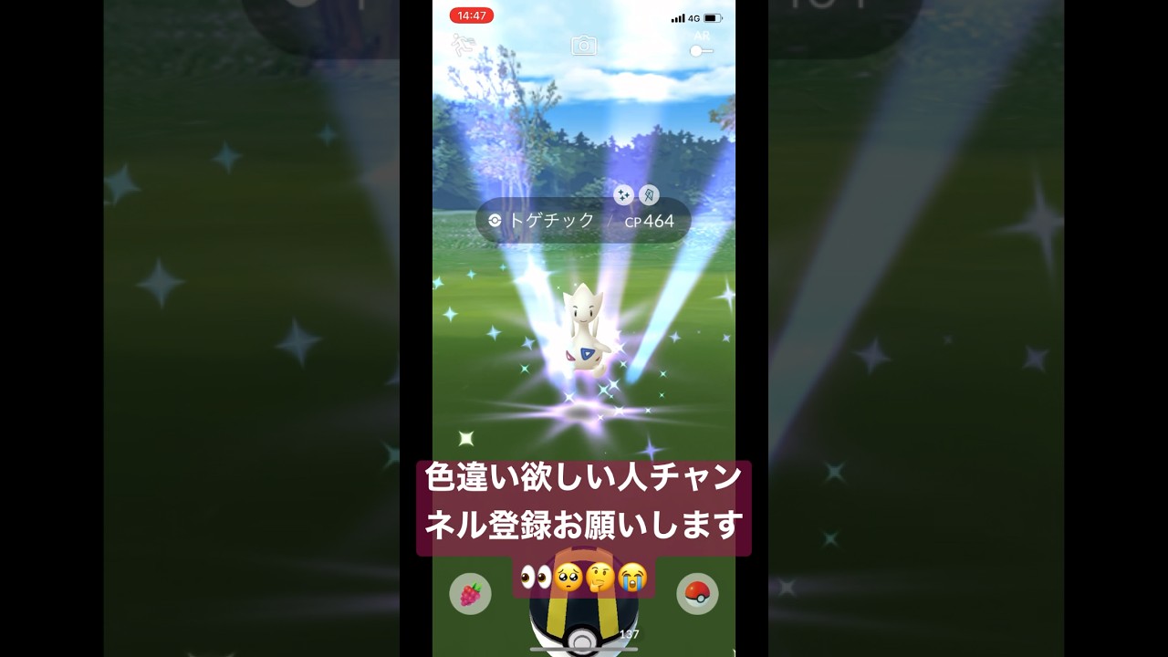 色違いトゲチック5匹目！#shorts #short #ポケモン #ポケットモンスター #ポケgo #pokemon #色違い #pokemongo #色違いポケモン #ポケモンgo #ぽけもん